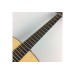 TAKAMINE GD10 NS